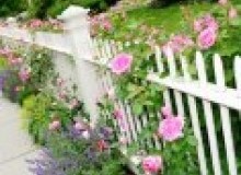 Kwikfynd Garden fencing
catumnal